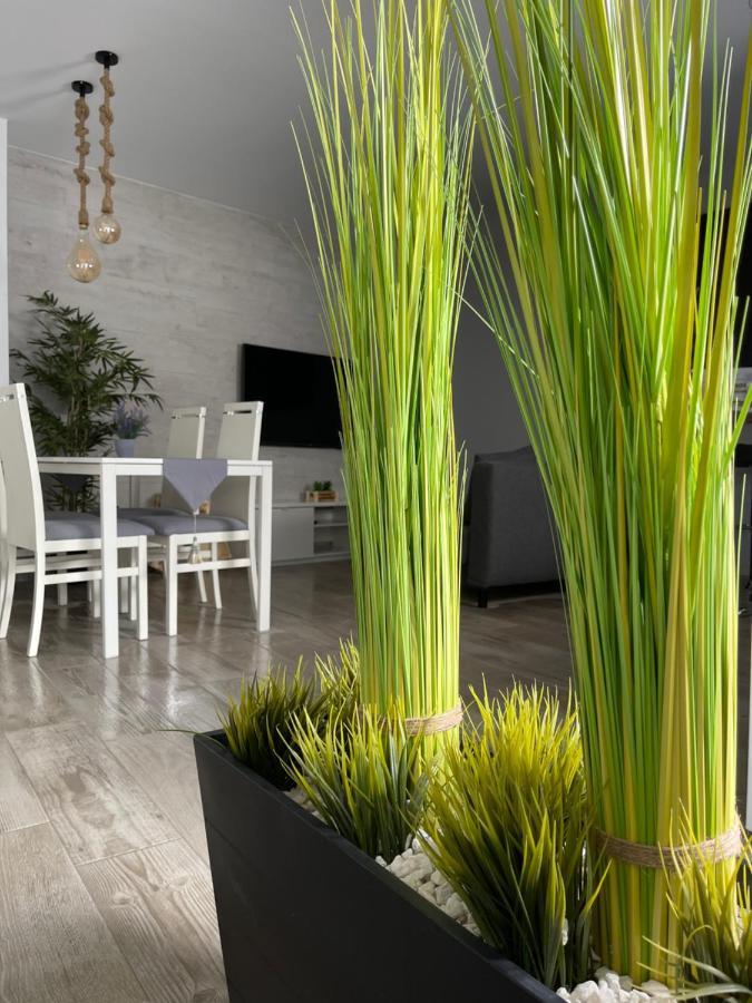 Apartamento Banferra Jerez de la Frontera Exterior photo